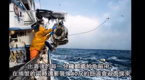 世上最危险职业之一 5天可赚10万美元