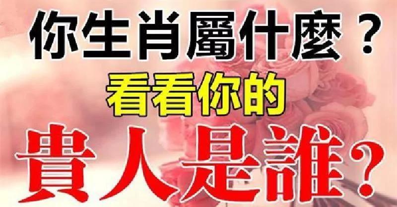 你属什么 看看你的贵人是谁?