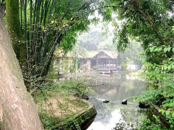 杜甫:为什么我的眼里常含泪水?因为我对这土地爱得深沉…