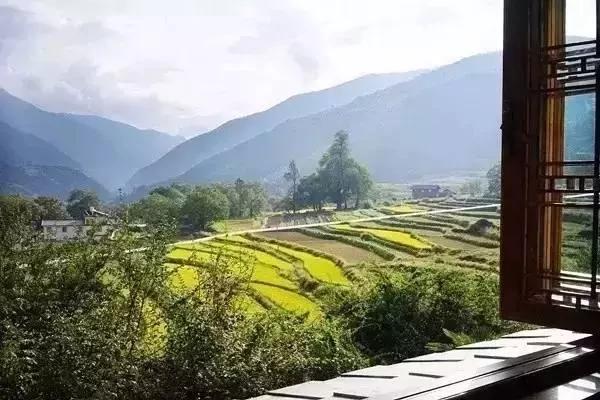非常经典:别开错了窗户!