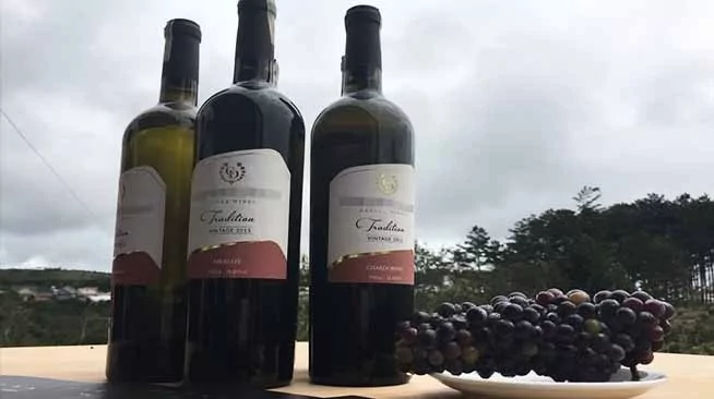 他把一坛好酒放在院子里 却被人偷喝!没想到他竟“这样做” 让偷酒的人都哭了!