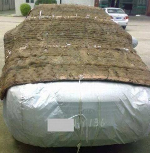 男子买进一台轿车 大家的焦点却在“车衣”上 实在是太霸气了!