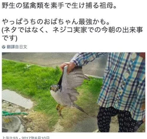 超霸气奶奶“徒手抓猛兽”