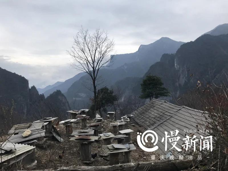 老夫妻筑屋深山峭壁上 一堆火烤了十二年!