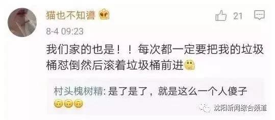 太好笑了!宝宝把粑粑拉在客厅 然后扫地机器人来啦!