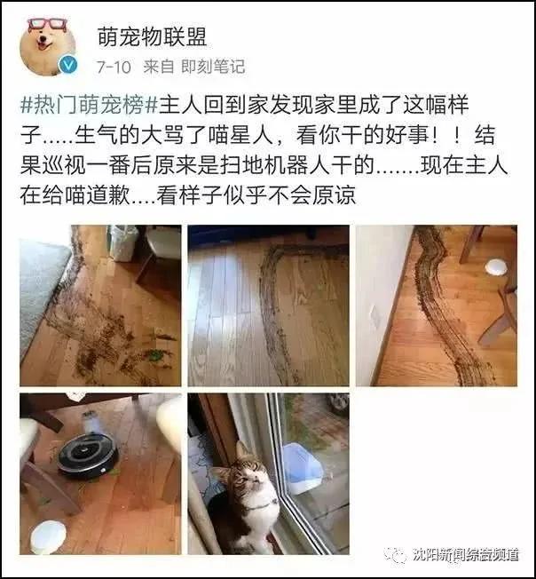 太好笑了!宝宝把粑粑拉在客厅 然后扫地机器人来啦!