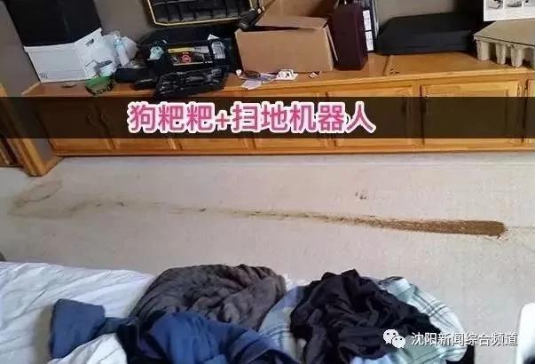 太好笑了!宝宝把粑粑拉在客厅 然后扫地机器人来啦!
