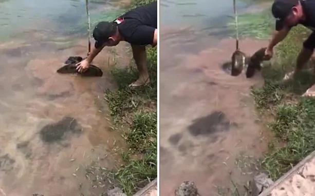 巴西小狗遭巨蟒死死缠住 村民合力营救终脱险!