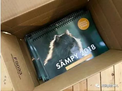 气场非凡的霸王猫 方圆几公里没人敢惹啊!