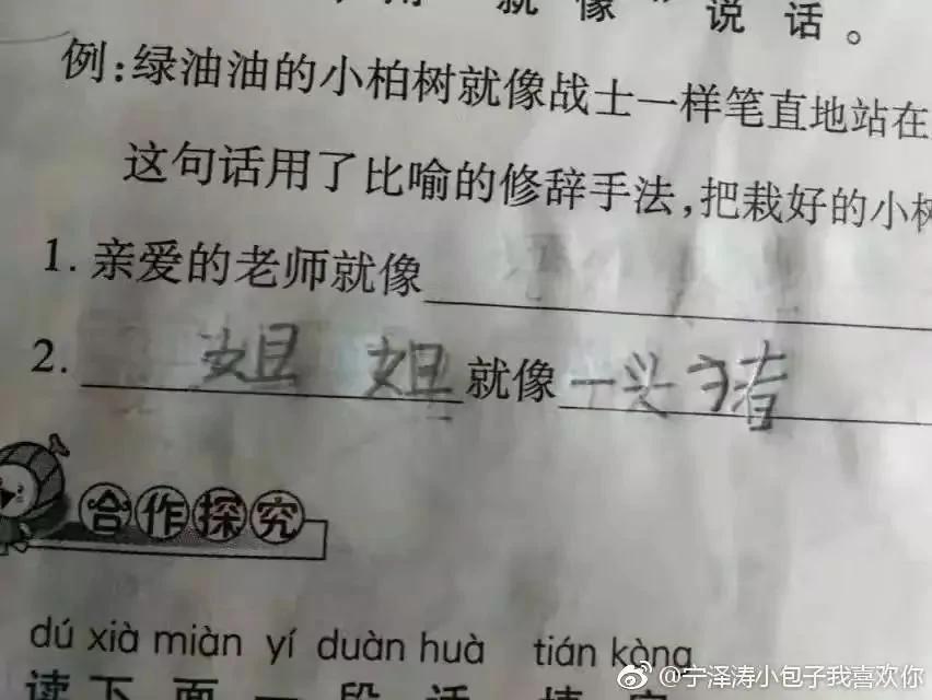 把老师气崩溃的寒假作业 看到怀疑人生哈哈哈哈哈哈哈