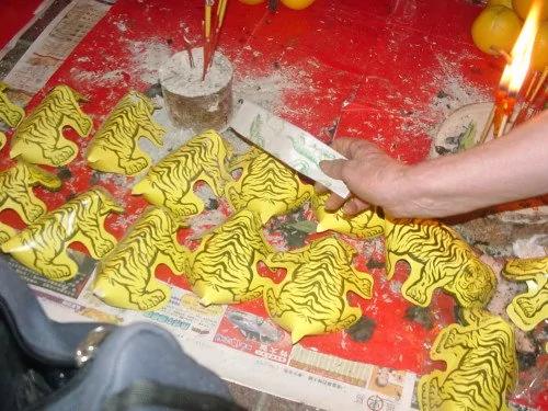 惊蛰:这是昆虫出洞、祭白虎打小人的日子