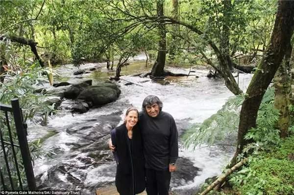 花27年抚育了300英亩森林 这对银行家夫妻 建立了印度第一个私人自然保护区!