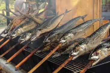 防失智、乳癌,日本癌症研究中心推豆腐搭1料