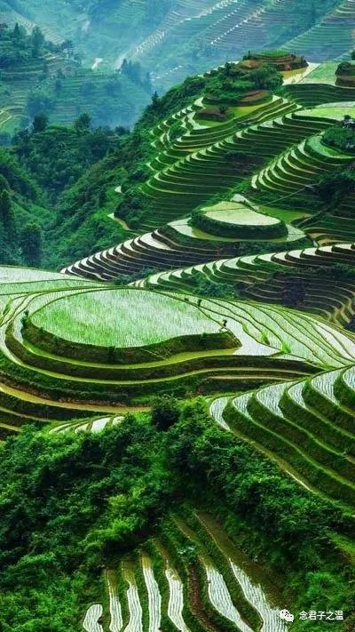 山民遇水:英雄捐身 恶徒收成
