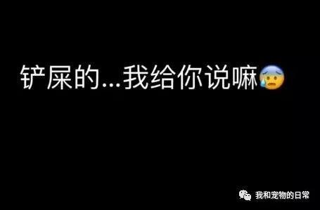 拉布拉多上楼洗完澡后却不敢下楼 最后下楼的姿势亮了!