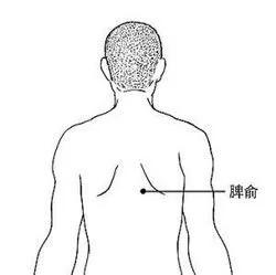 补气是提高免疫力最快的方法 按这几个穴效果最好