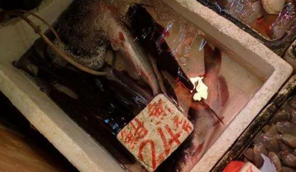 他在发臭的河钓到一只“110公分超巨大土虱” 带回饭店做成料理后 “悲剧”发生了!