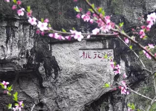 又一个避世小城要火 绝美桃花即将盛放