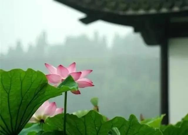 古人修身养性的五大智慧