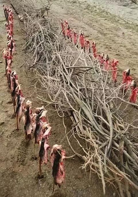 中国大陆最神秘景点 门票超贵 美到令人叹息