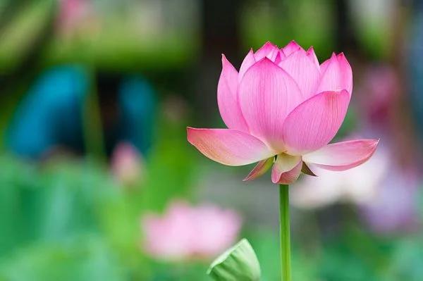 唐太宗:最高级的教养 是和颜悦色