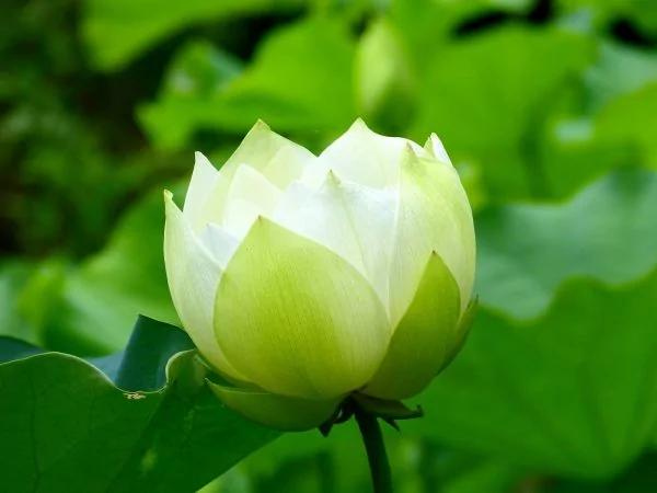 唐太宗:最高级的教养 是和颜悦色