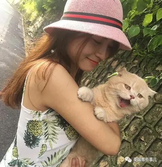 这只名叫狗的橘猫 是整片菜市场当之无愧的王者…