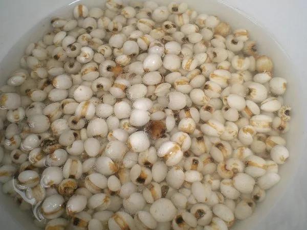 不同的杂粮 不同的滋补作用!你吃对了吗?