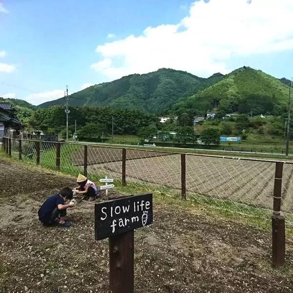 乡下妈妈晒娃不露脸不拼颜值引众人围观