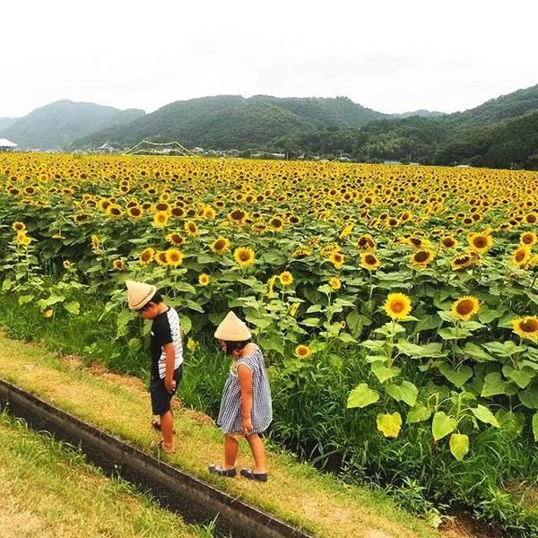 乡下妈妈晒娃不露脸不拼颜值引众人围观
