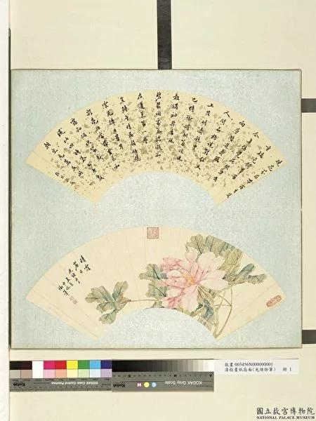 为什么牡丹自古有“国色天香”的美称?