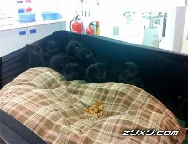 她走到外面丢垃圾时意外发现“一个废弃的手提箱” 好奇之下打开来看 瞬间惊呆了!