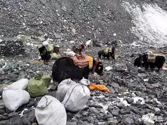 哭泣的喜马拉雅 漫山垃圾​覆盖世界最高巅