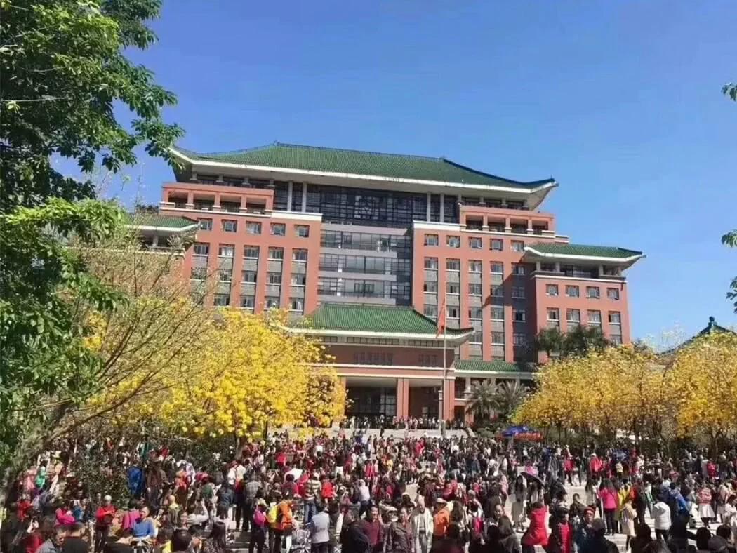 10万人涌大学校园赏花 学生吓得不敢出门