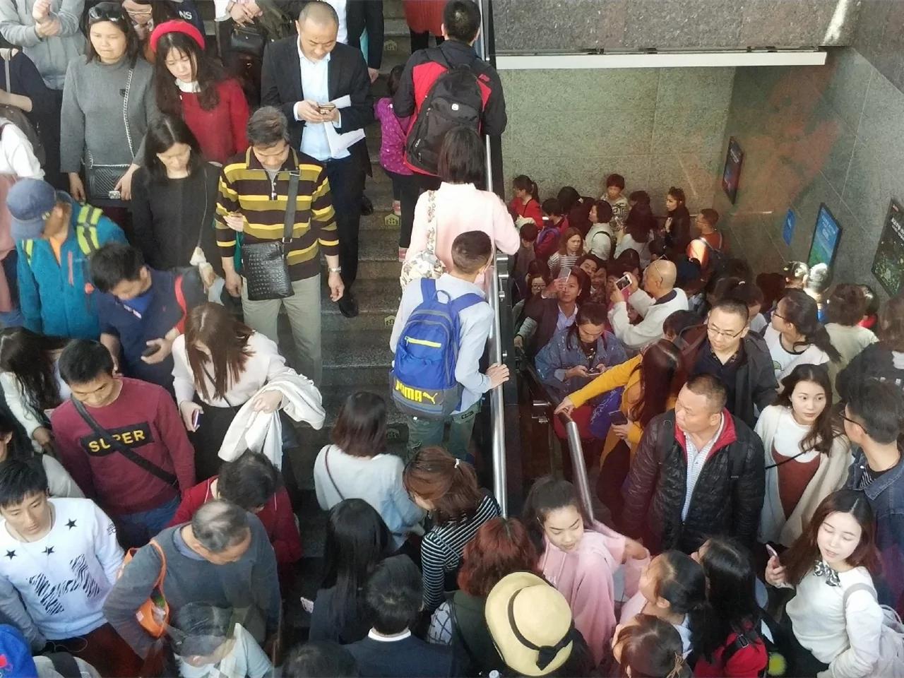 10万人涌大学校园赏花 学生吓得不敢出门