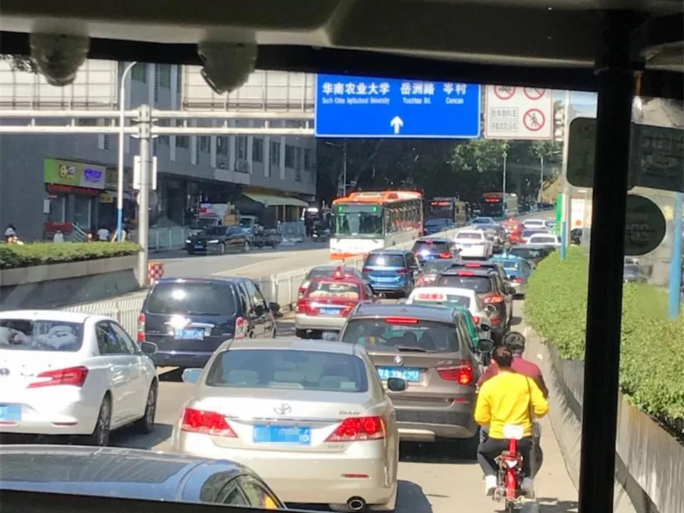 10万人涌大学校园赏花 学生吓得不敢出门