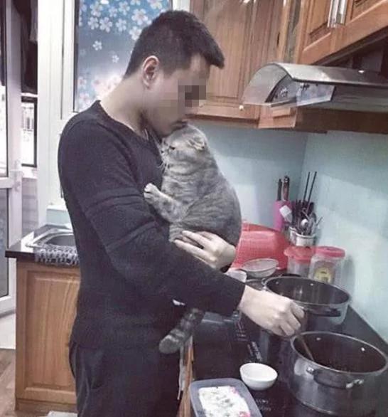 女孩出差把猫咪“交给男友照顾” 回来后悔到痛哭流涕 到底谁才是小三!