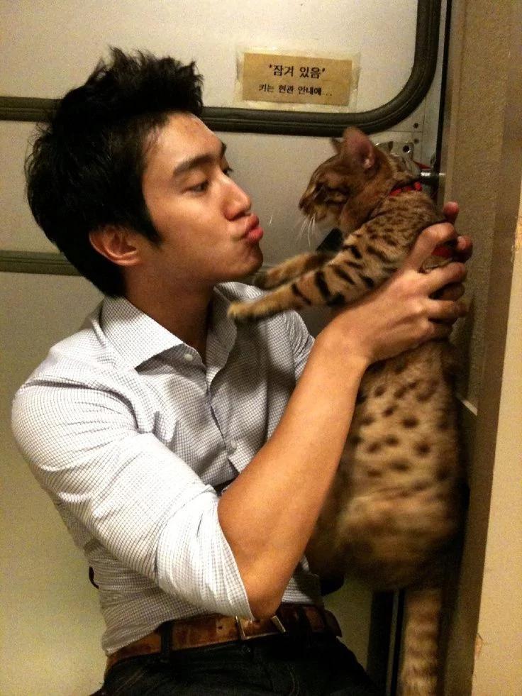 女孩出差把猫咪“交给男友照顾” 回来后悔到痛哭流涕 到底谁才是小三!