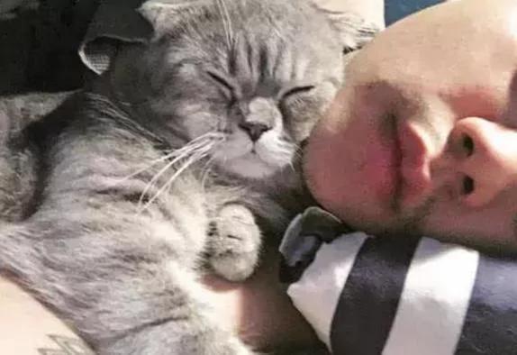 女孩出差把猫咪“交给男友照顾” 回来后悔到痛哭流涕 到底谁才是小三!