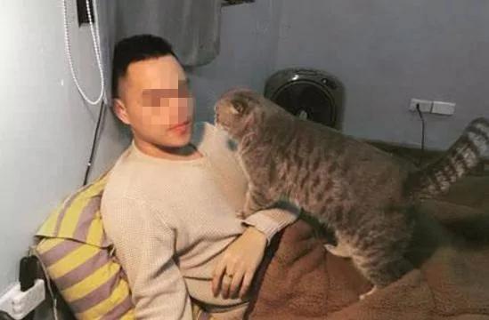 女孩出差把猫咪“交给男友照顾” 回来后悔到痛哭流涕 到底谁才是小三!