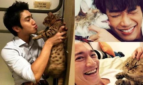 女孩出差把猫咪“交给男友照顾” 回来后悔到痛哭流涕 到底谁才是小三!