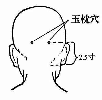 身上就有一条“排毒养颜”通道