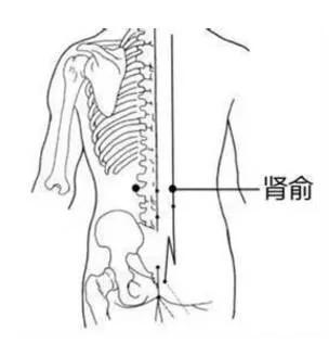 身上就有一条“排毒养颜”通道