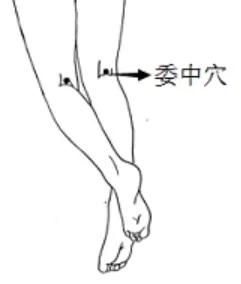 身上就有一条“排毒养颜”通道