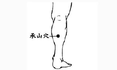 身上就有一条“排毒养颜”通道