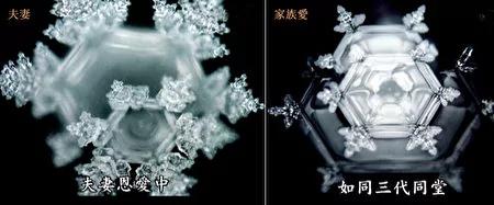 水有超能力?还是人的善愿产生奇迹?