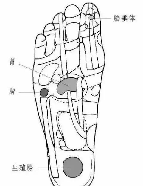 每天拉拇指 可治颈椎病!每天按下巴竟可以…