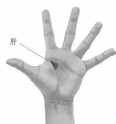 每天拉拇指 可治颈椎病!每天按下巴竟可以…