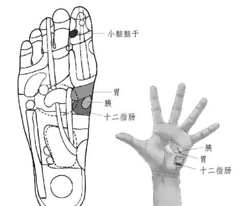 每天拉拇指 可治颈椎病!每天按下巴竟可以…