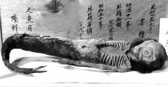 海底奇异生物 人鱼发现有实证!